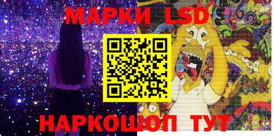 индика Кандалакша