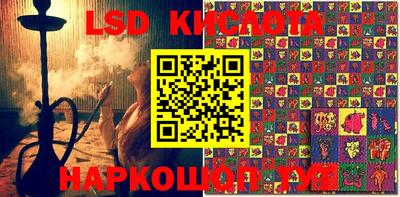 индика Кандалакша