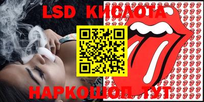 индика Кандалакша