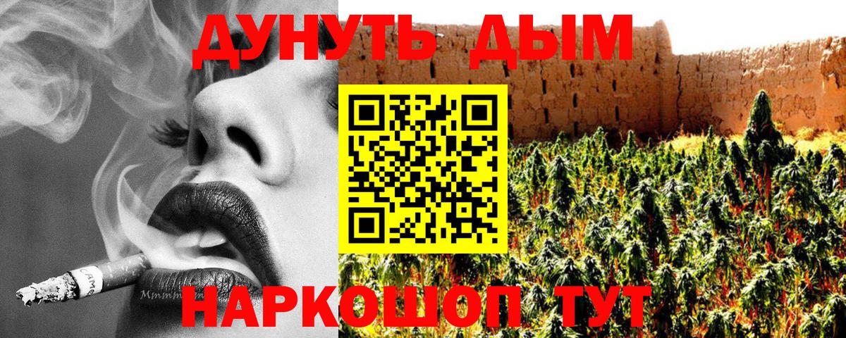 Шишки марихуана планчик Выборг